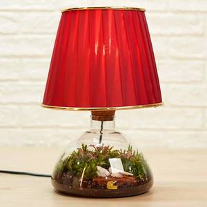 آباژور تراریوم مدل مهتاب