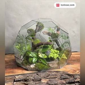 تراریوم‌ رطوبتی طرح توپ زندگی