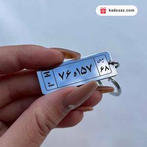 جاسوییچی پلاک ماشین