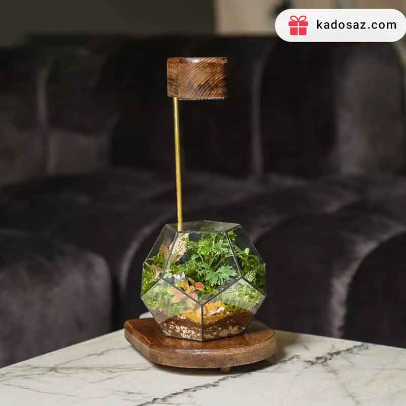 تراریوم مدل پنتاگون با استند نور