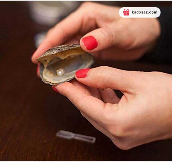 گردنبند مروارید عشق با صدف واقعی